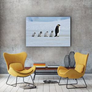Pinguin familie plexiglas